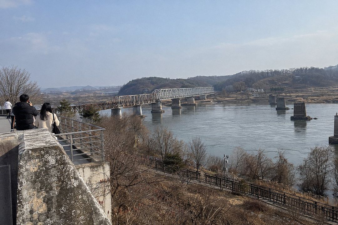 Paju (AI-generated illustrative image)