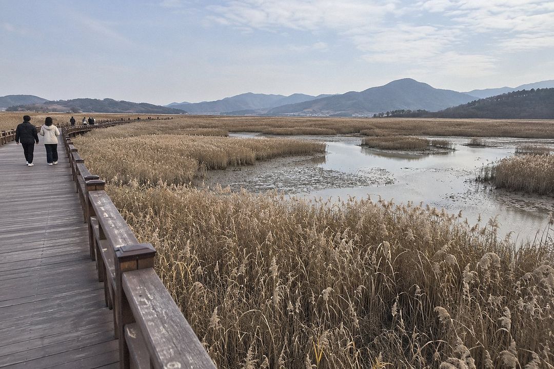 Suncheon (AI-generated illustrative image)