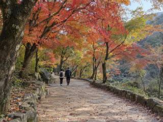 Naejangsan National Park