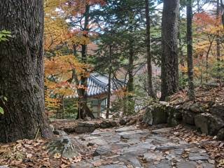 Odaesan National Park
