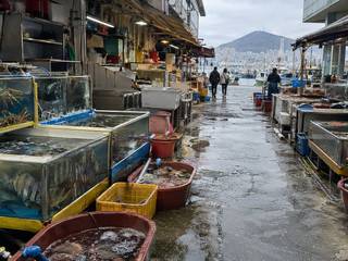 Jagalchi Market