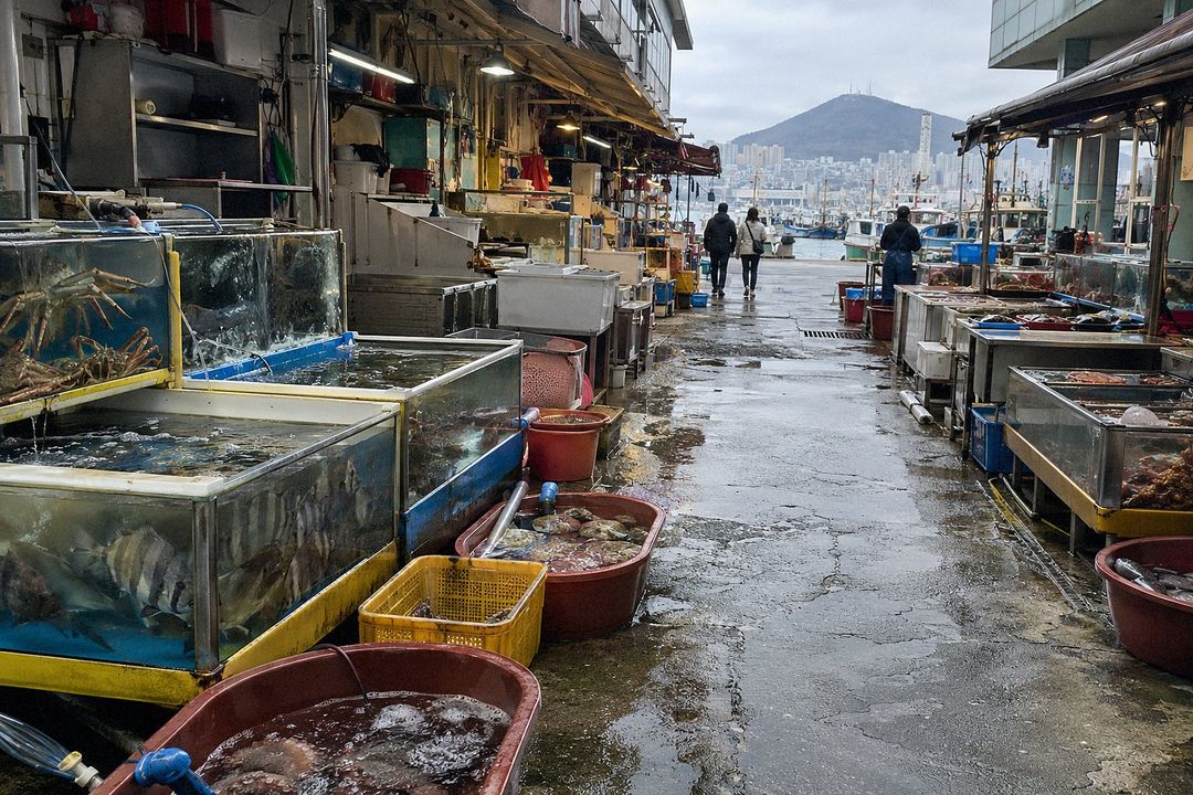 Jagalchi Market (AI-generated illustrative image)