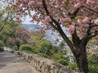 Busan Democracy Park