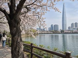 Seokchon Lake
