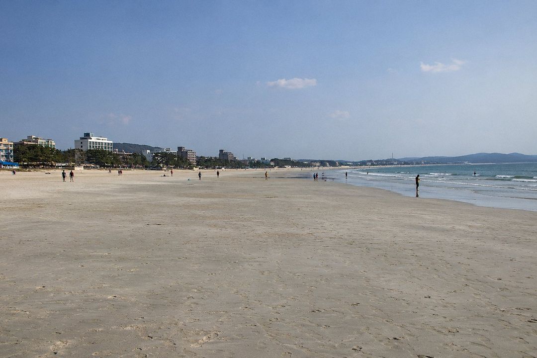 Daecheon Beach (AI-generated illustrative image)