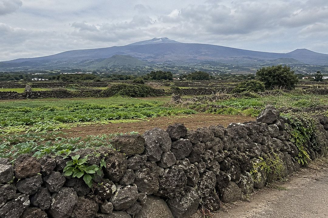 Jeju Island (AI-generated illustrative image)
