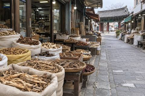 Yangnyeongsi Herbal Medicine Market and Museum