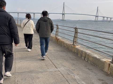 Incheon Airport layover tour