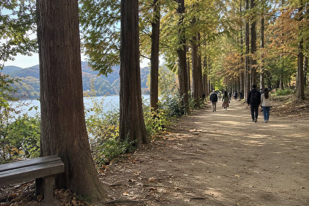 Nami Island (AI-generated illustrative image)