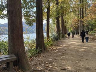 Nami Island