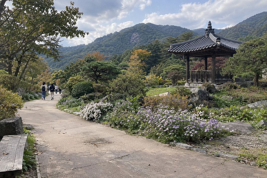The Garden of Morning Calm (AI-generated illustrative image)