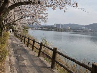 Bomun Lake