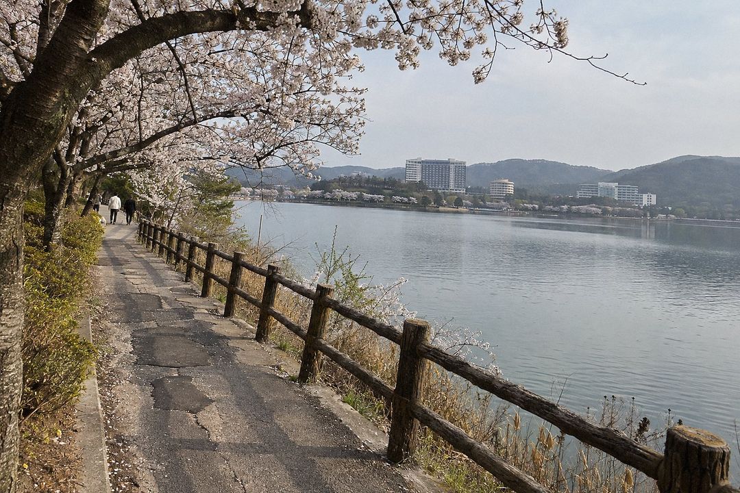 Bomun Lake (AI-generated illustrative image)