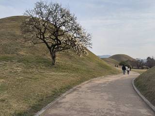 Daereungwon Tomb Complex