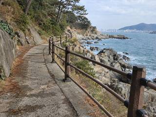 Busan Galmaetgil