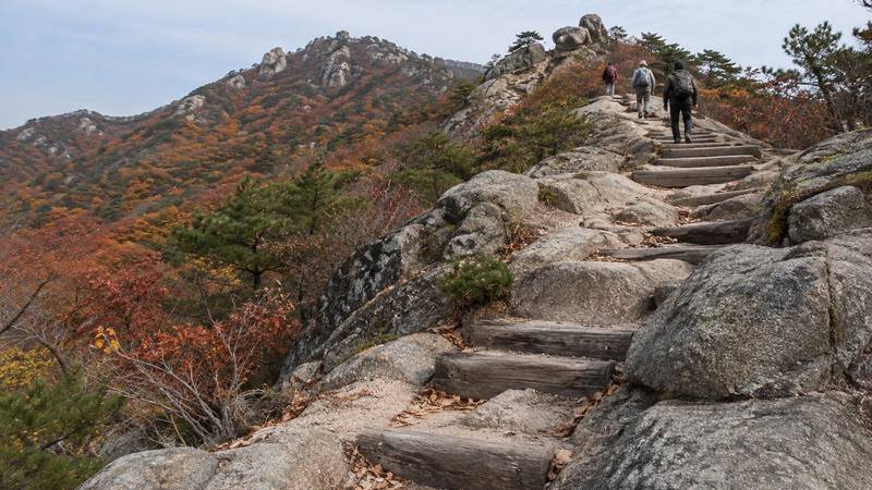 National parks