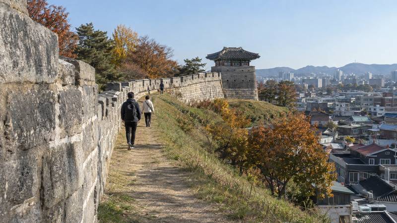 Day Trips from Seoul: Suwon, the DMZ, Nami Island and More