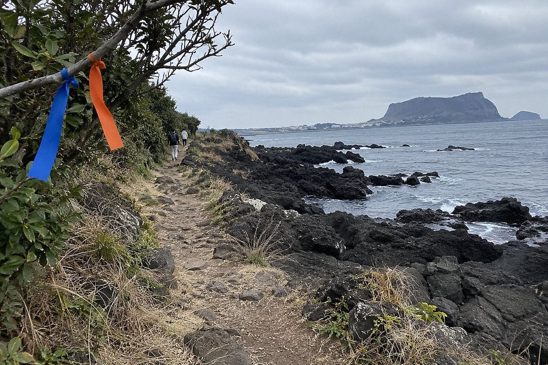 Jeju Olle Trail (AI-generated illustrative image)