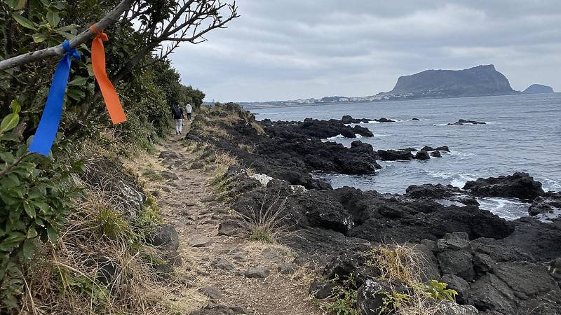 Jeju Olle Trail