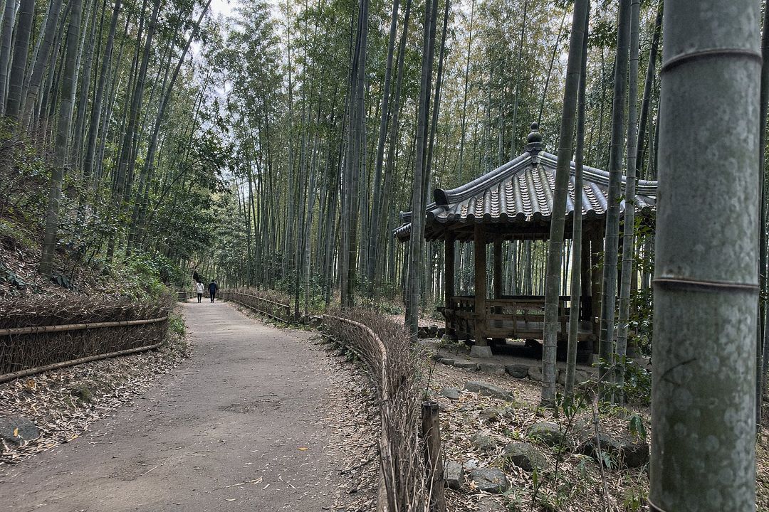 Juknokwon (AI-generated illustrative image)