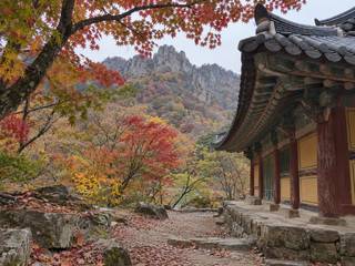 Naejangsan National Park