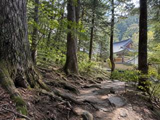 Odaesan National Park