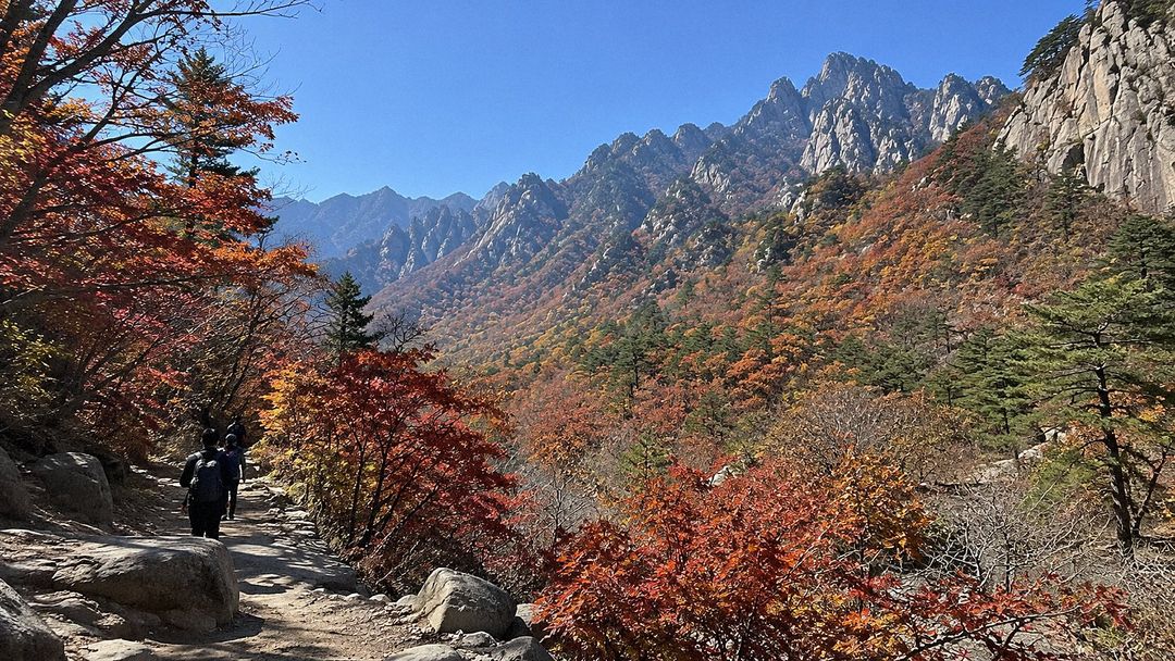 Autumn leaves 2026 in Korea: forecast and best spots (AI-generated illustrative image)