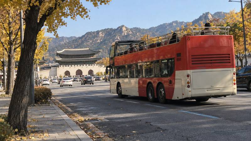 Tours and Activities in Korea