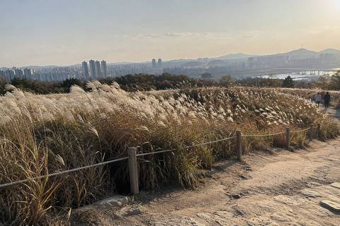 Haneul Park