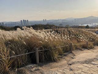 Haneul Park