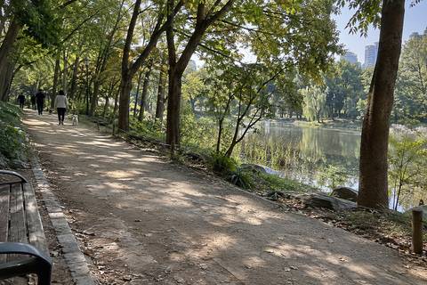 Seoul Forest