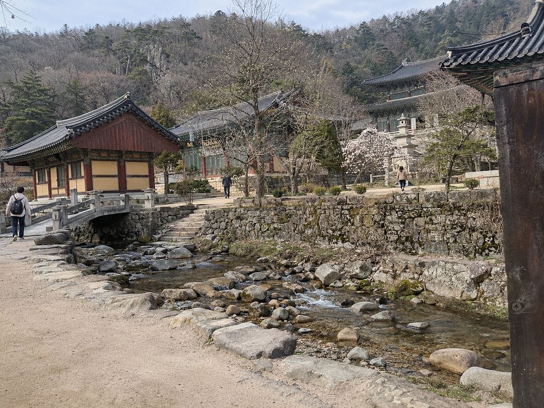 Magoksa Temple (AI-generated illustrative image)