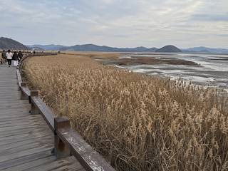 Suncheon Bay Wetland